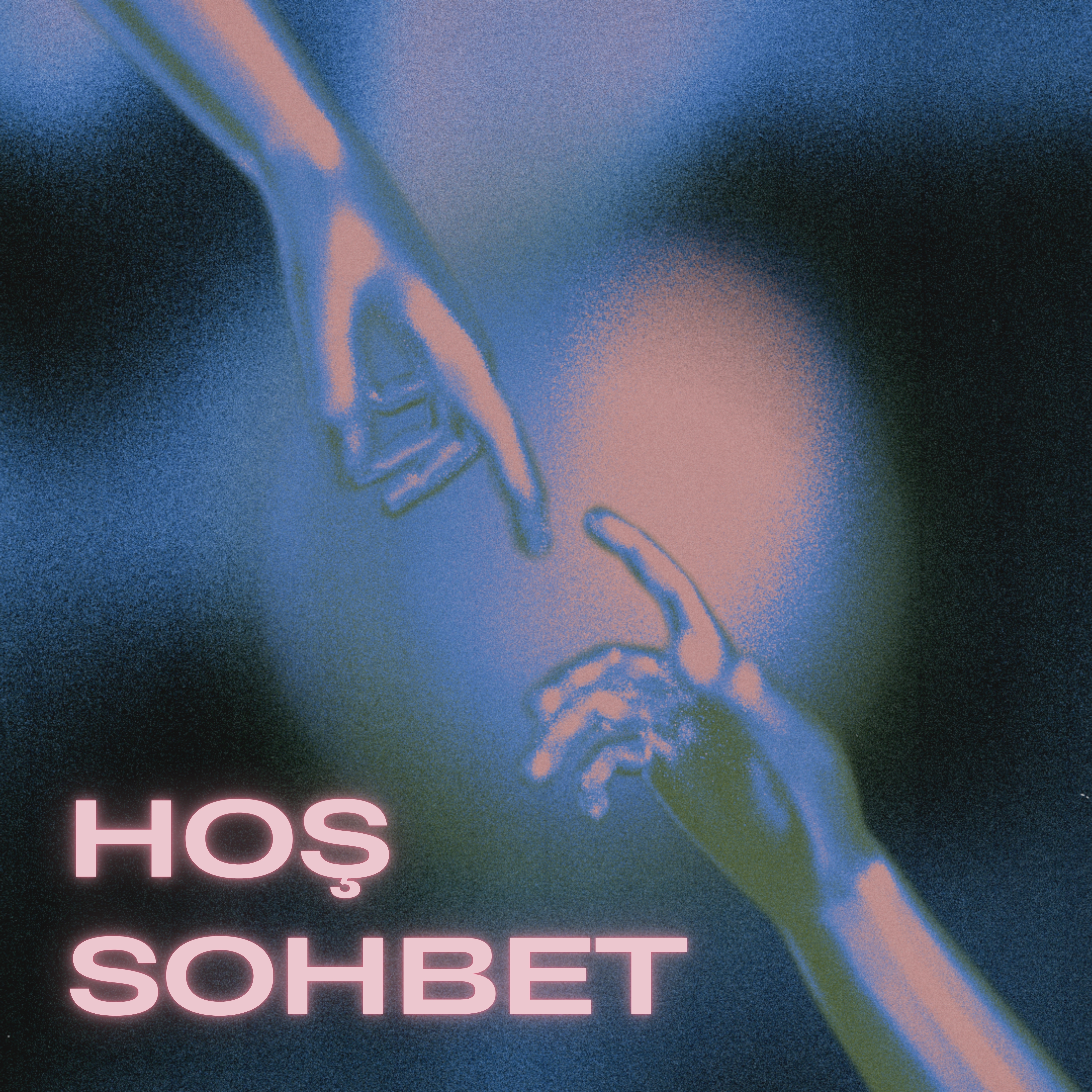 hoş sohbet 